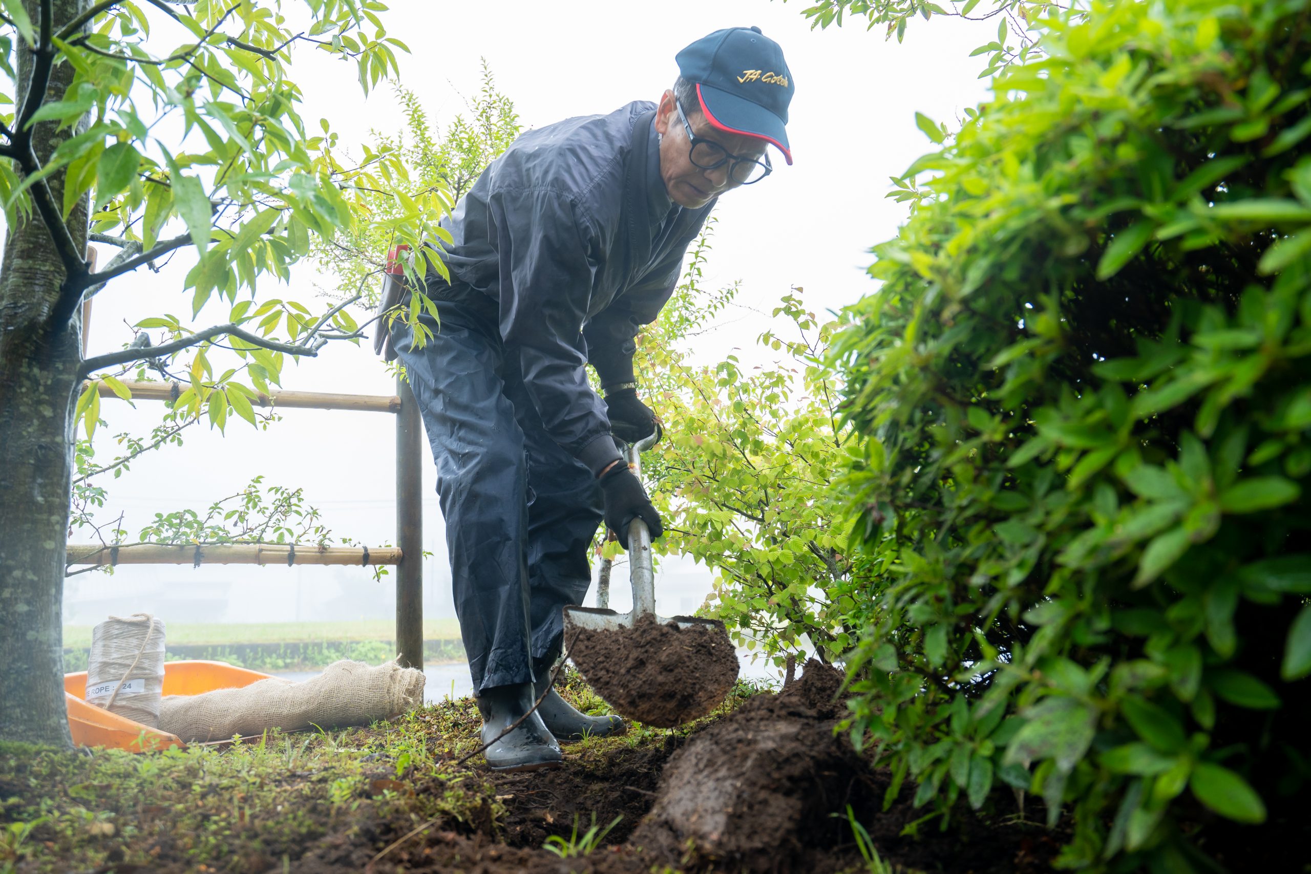 あしたか造園は「お庭の専門医」です