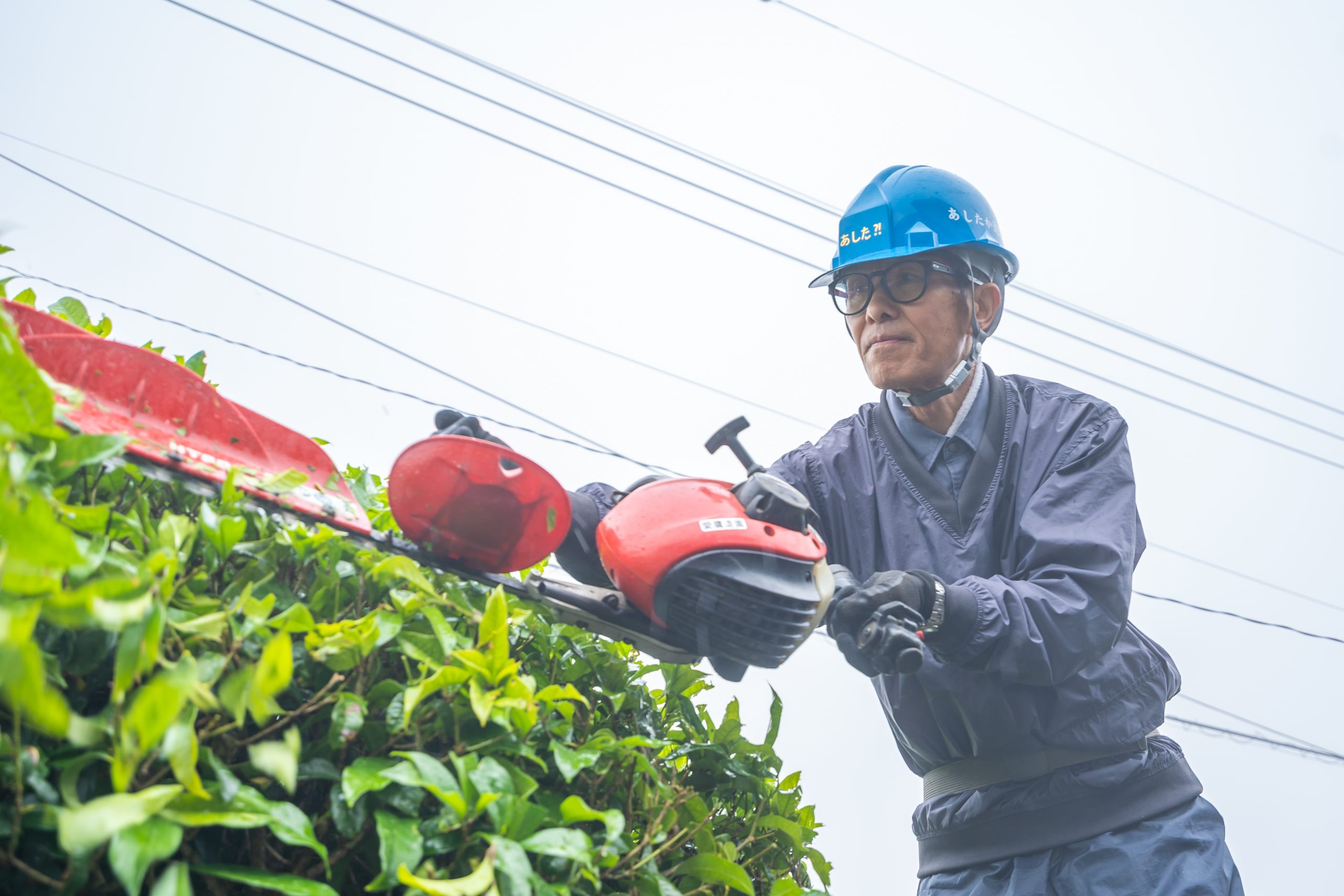 造園から剪定作業、植栽や移植まで