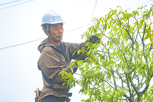 造園案内